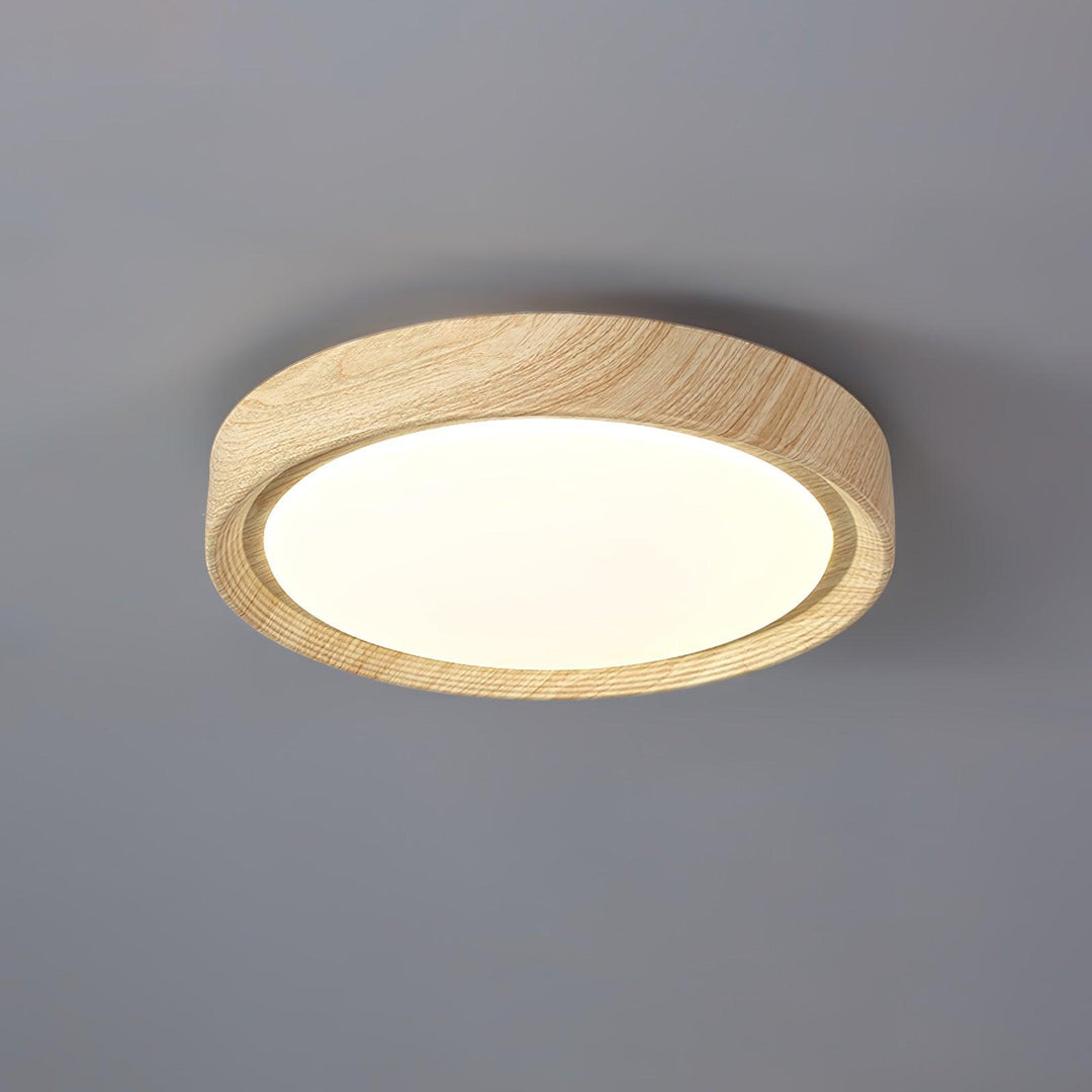 Dimmable modern round LED flush mount, provides customizable illumination.