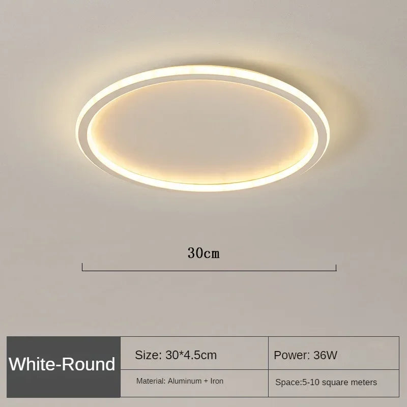 Compact modern LED ceiling light, round Scandinavian fixture ideal for small to medium rooms.