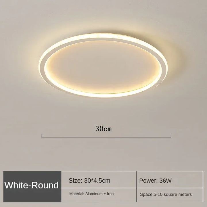 Compact modern LED ceiling light, round Scandinavian fixture ideal for small to medium rooms.
