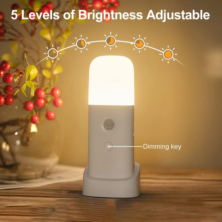 USB rechargeable LED night light with motion sensor for automatic, hands-free illumination in home hallways.