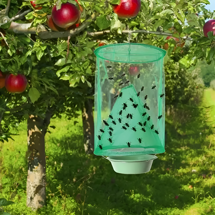 Natural outdoor fly trap for chemical-free pest control in gardens, patios, and farms.