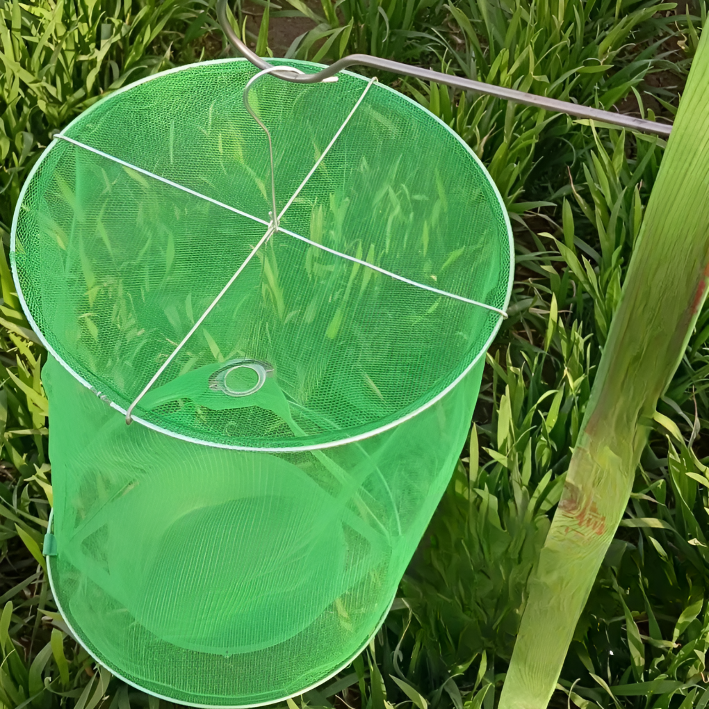 Reusable, eco-friendly fly trap hanging outdoors, providing chemical-free insect repellent for stables and barns.
