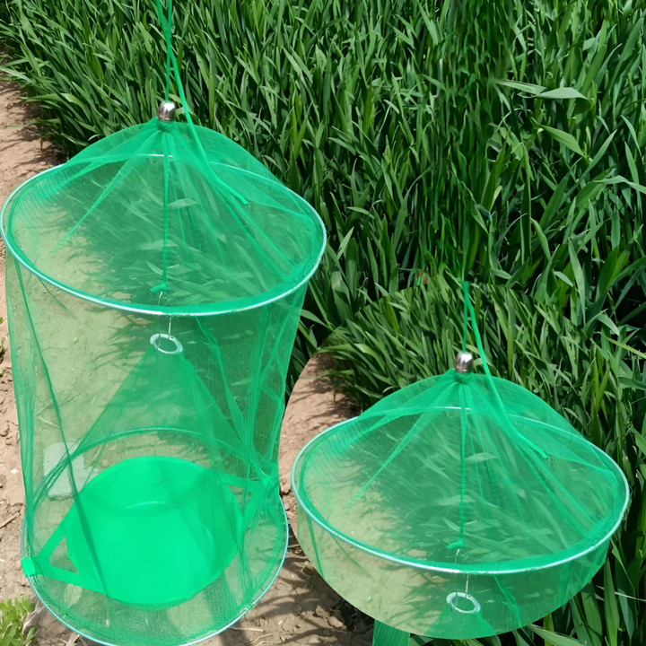 Effective outdoor fly trap design, perfect for garden and patio pest control without chemicals.