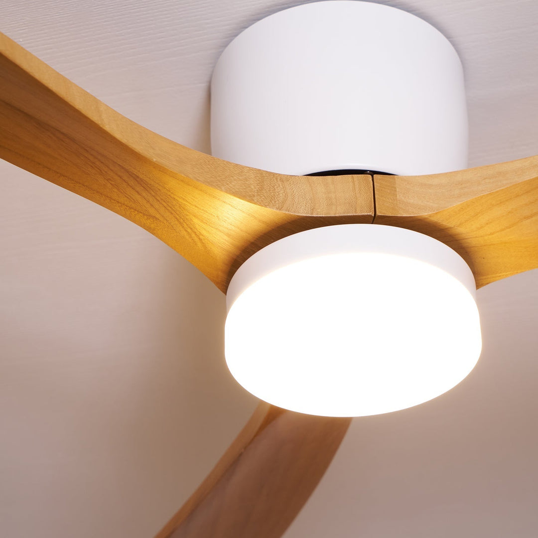Wooden ceiling fan for modern homes. LED light, remote control for convenience.