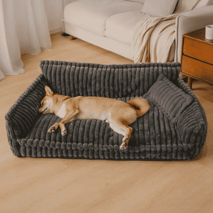 Orthopaedic washable dog sofa for joint support & comfort. Durable pet bed for all breeds.