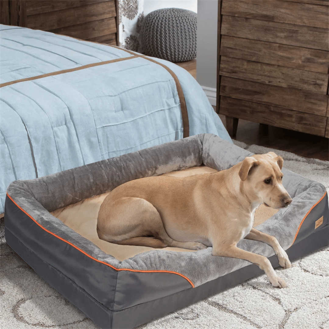 Resilient orthopedic memory foam dog bed, built for large dogs, ensuring lasting comfort & support.