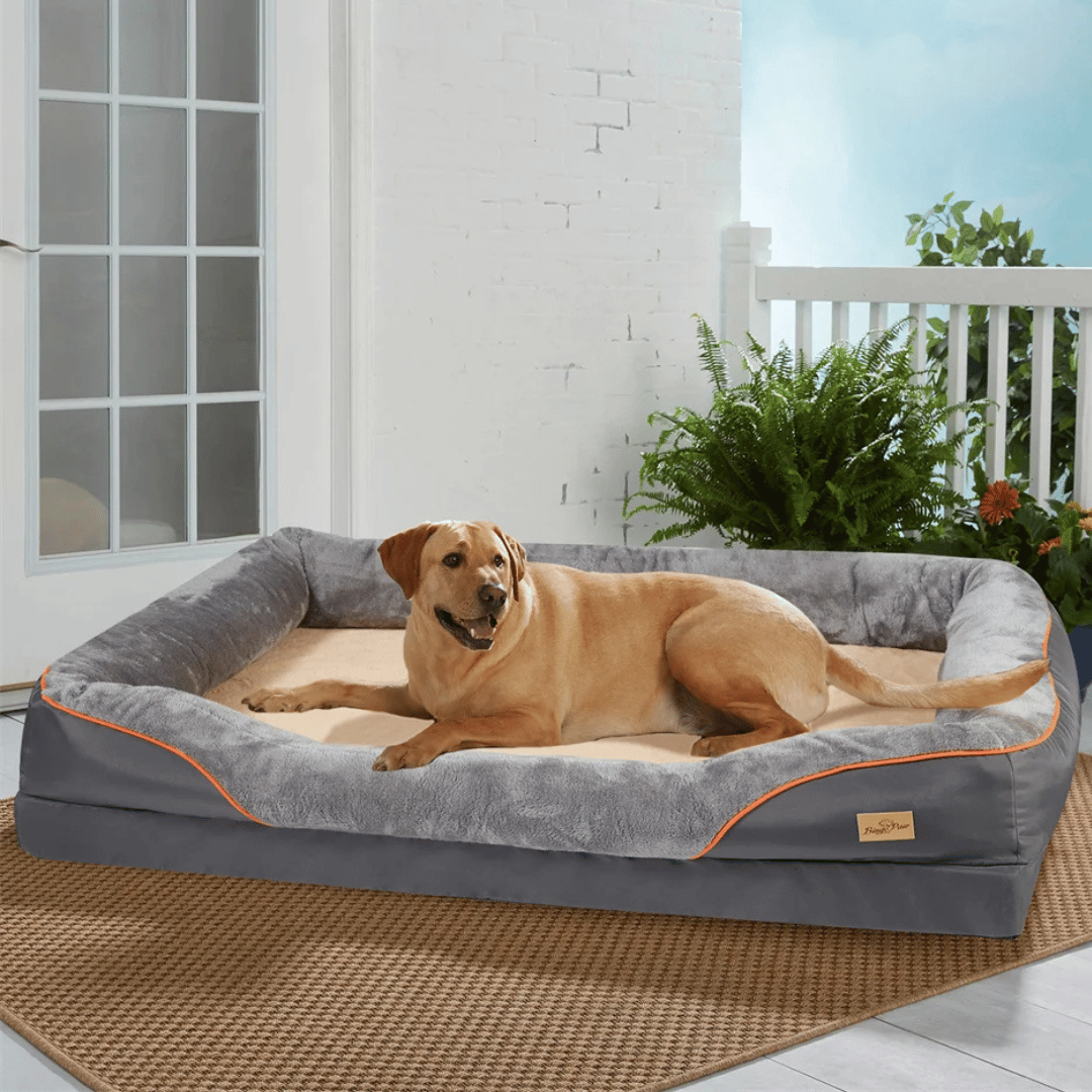 Washable orthopedic memory foam dog bed for large breeds, durable pet supplies, easy care.