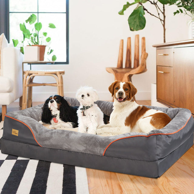 High-density orthopedic memory foam dog bed, designed for large breeds' ultimate comfort.