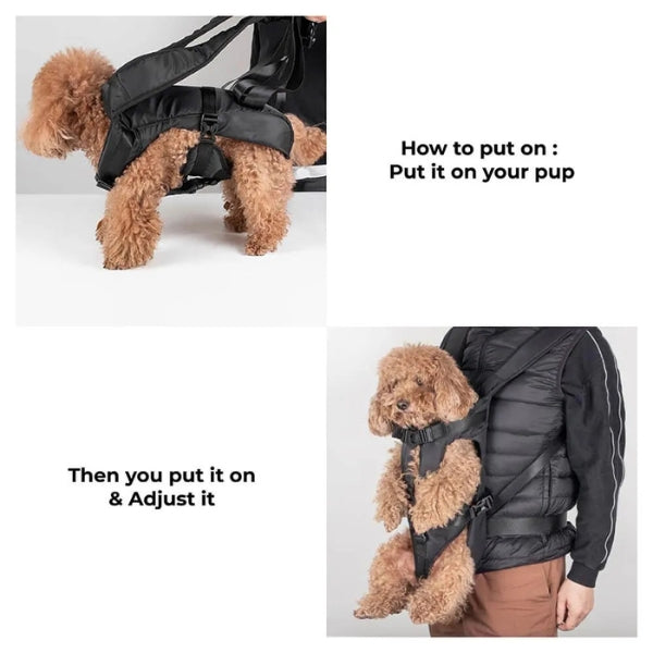 Comfortable pet backpack for outdoor dogs, featuring adjustable straps for hiking adventures.