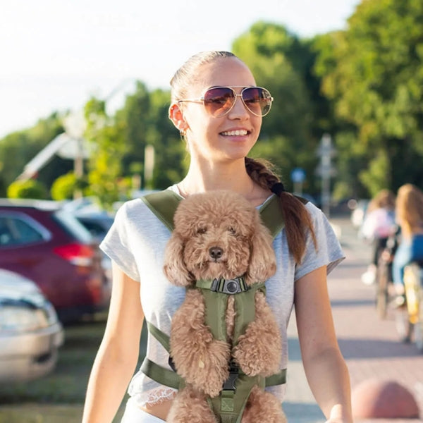 Premium dog carrier backpack, excellent pet supplies for hiking and outdoor dog adventures.