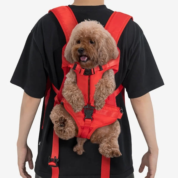 Dog accessories: outdoor adventure pet backpack with adjustable straps for comfort.