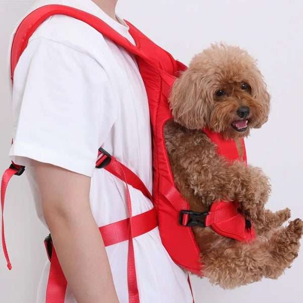 Adjustable & waterproof dog carrier backpack, perfect hiking gear for outdoor dogs.