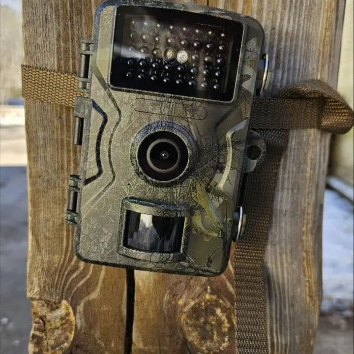 Outdoor night vision wildlife camera for surveillance & nature monitoring. Motion-activated & weatherproof HD for clear footage.