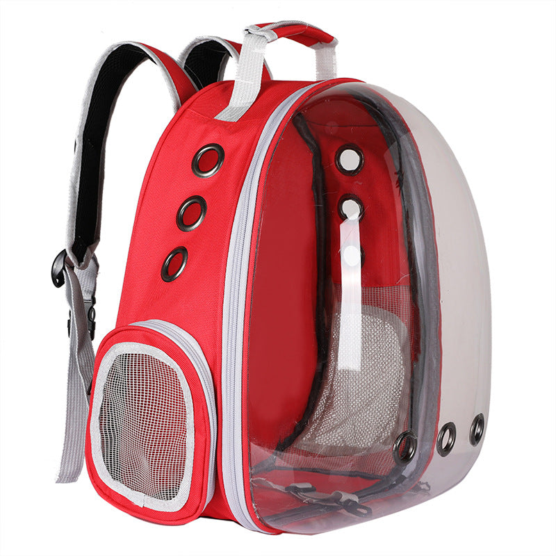 Pet carrier backpack, clear view, foldable, designed for small to medium cats and dogs.