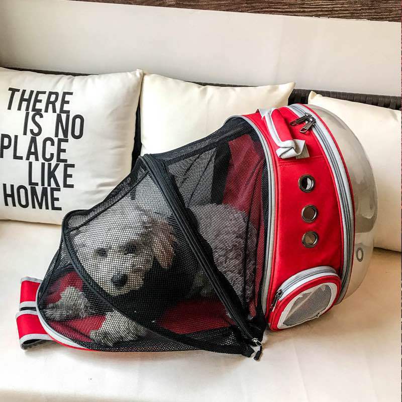 Stylish pet carrier backpack, clear window for cat & dog, foldable for ultimate portability.