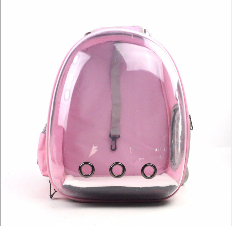 Pet carrier backpack showing a cat enjoying the clear view, foldable and ventilated design.