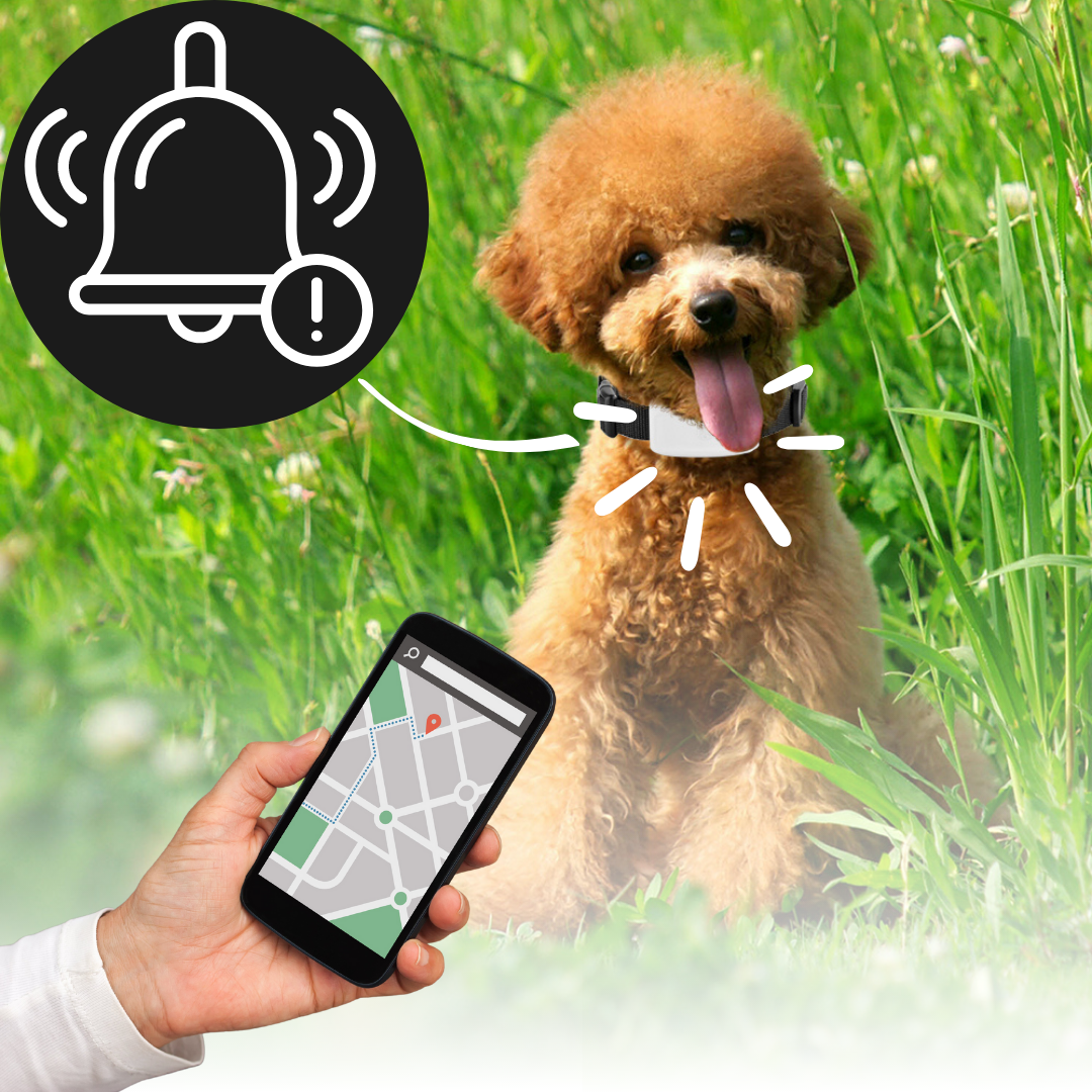 Pet GPS tracking collar for dogs & cats, real-time location, waterproof & durable for pet safety.