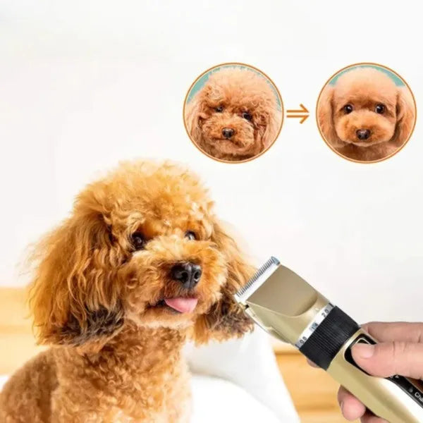 Pet silent cordless dog grooming trimmer set with adjustable combs for home pet care & animal clippers.