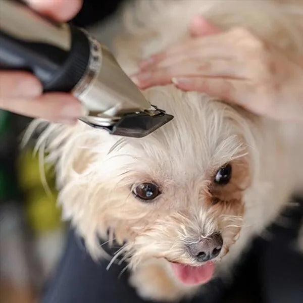 Close-up of the silent pet dog grooming trimmer, highlighting its cordless design for easy home grooming.