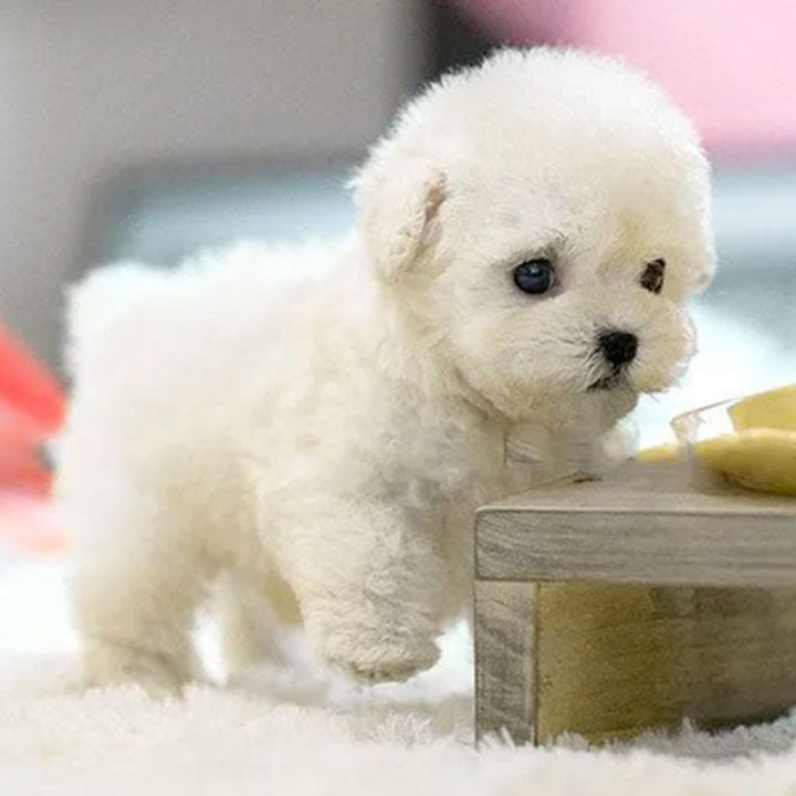Lifelike interactive robot puppy, a fun electronic companion pet toy for kids. Great children's present.