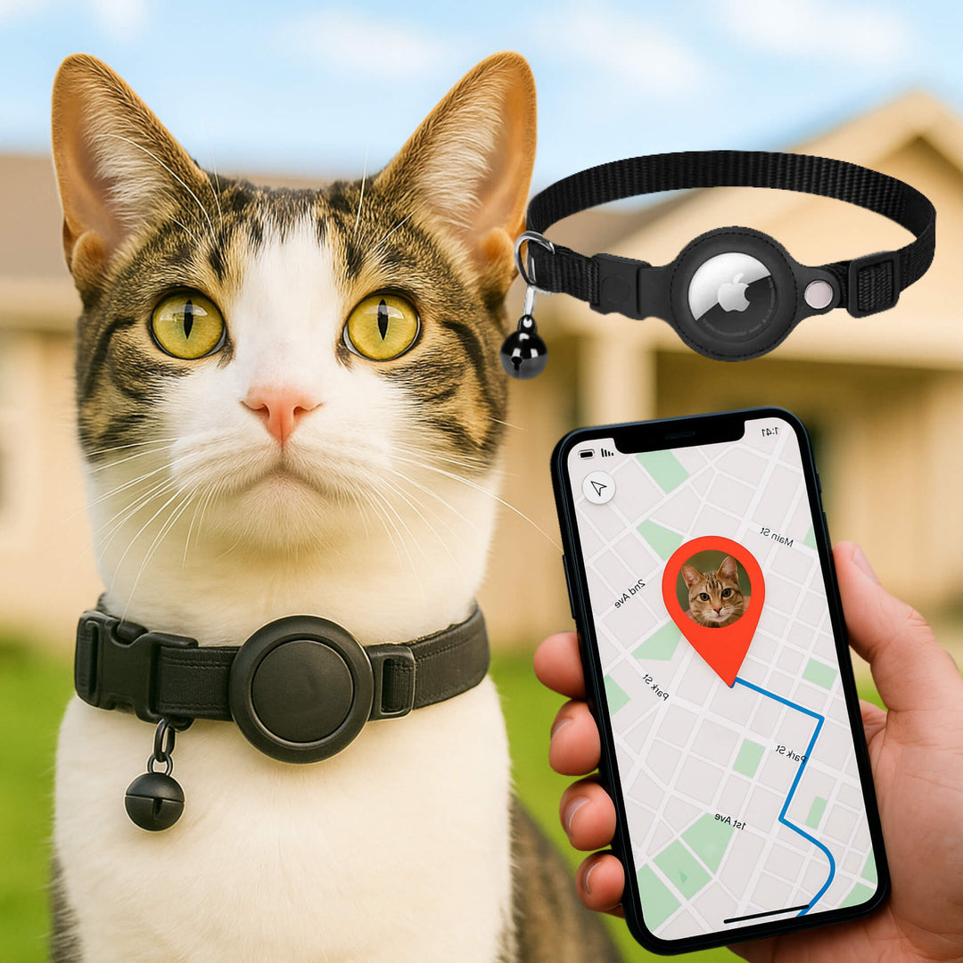 Outdoor feline collar: reflective, quick release, secure GPS tracker holder.