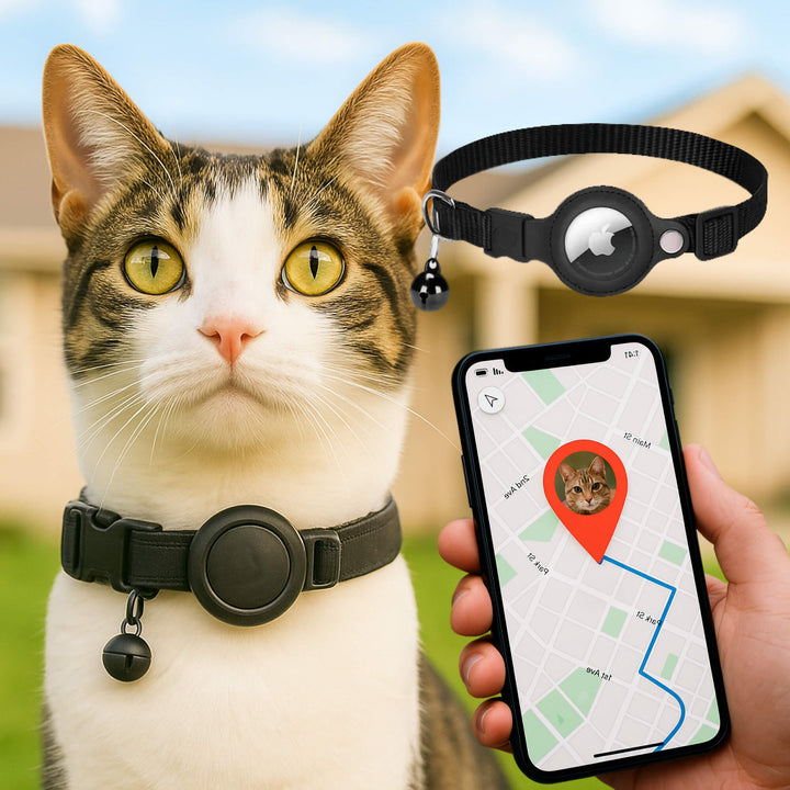 Outdoor feline collar: reflective, quick release, secure GPS tracker holder.