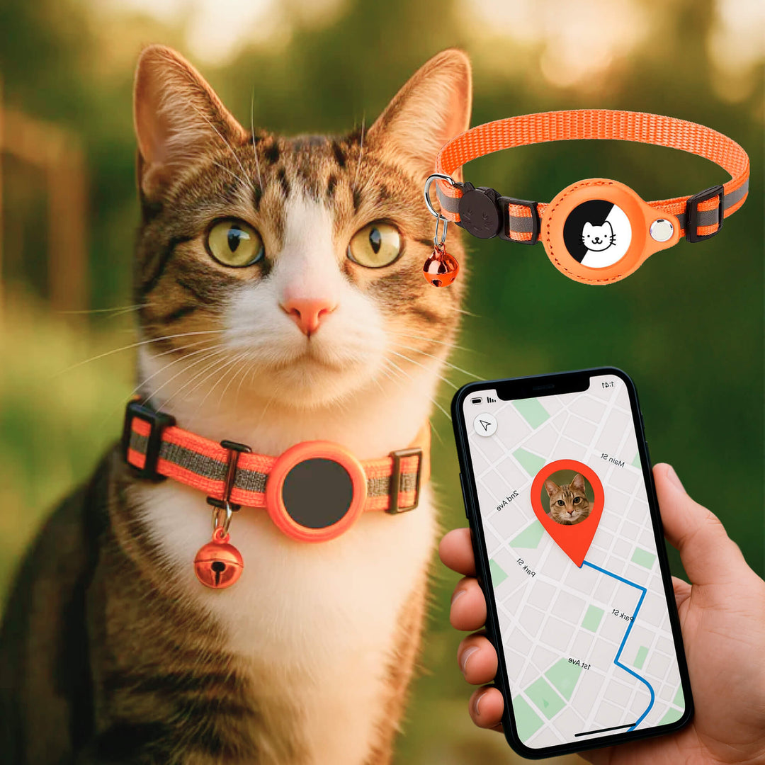 Cat GPS tracker collar, reflective for visibility, quick-release safety buckle.