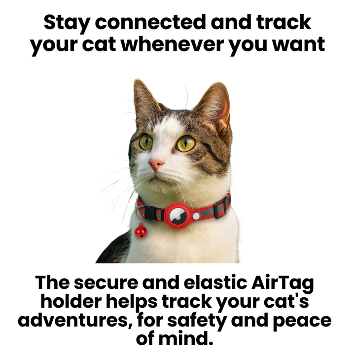Outdoor cat GPS collar, reflective, durable, quick-release for safety.