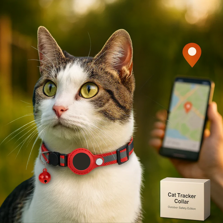 Feline quick-release reflective collar, secure GPS tracker holder for safety.