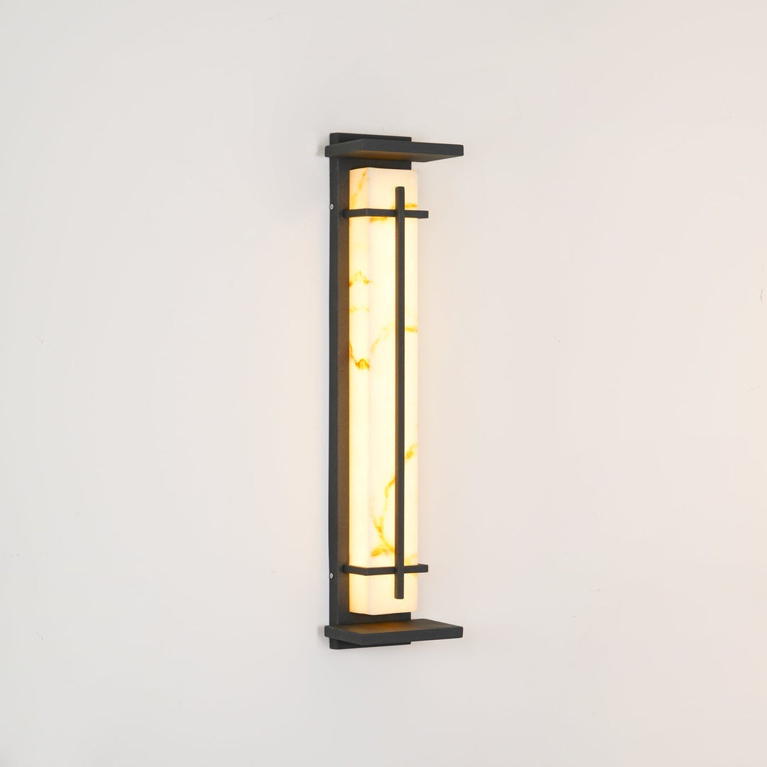 Architectural LED outdoor light in black, sleek for modern facade illumination.