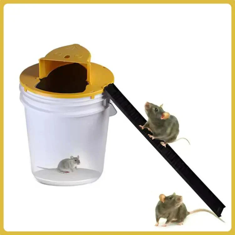SmartCatch hands-free mouse trap for safe, hygienic rodent control and household pest management.