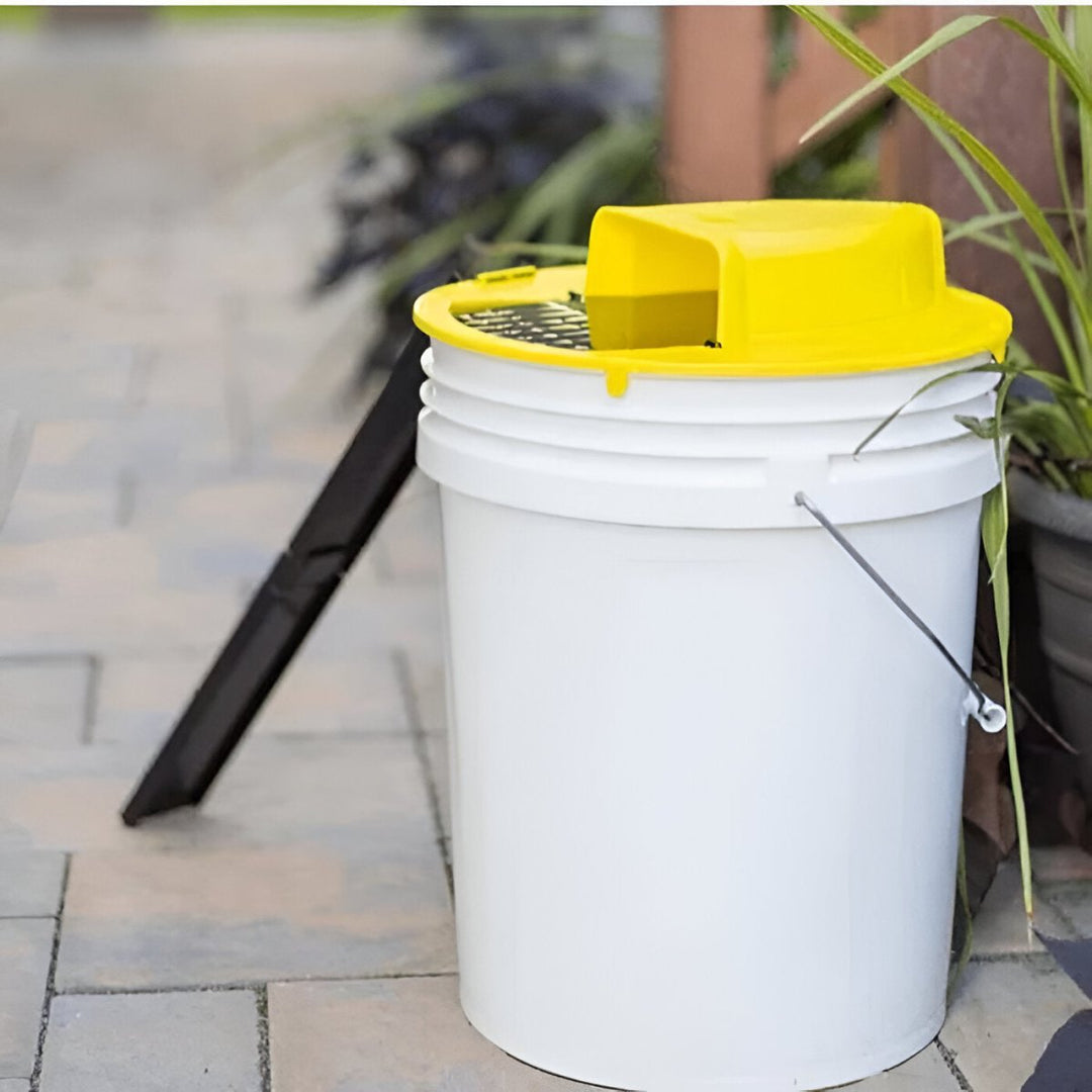 Discreet SmartCatch automatic mouse trap placed against a wall, ensuring effective home rodent protection.