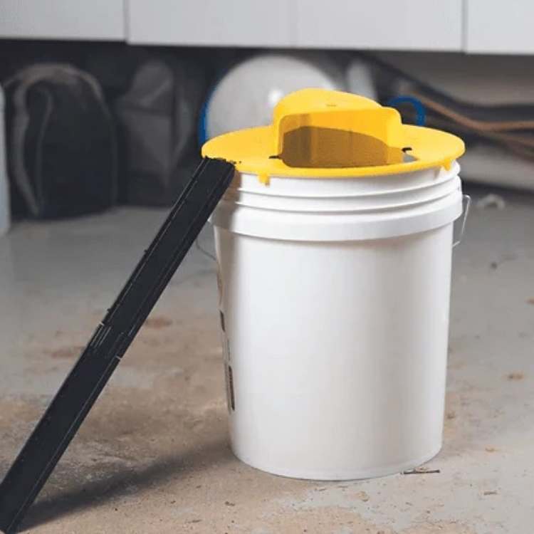 Close-up of SmartCatch automatic mouse trap, highlighting its hands-free, safe design for easy pest management.