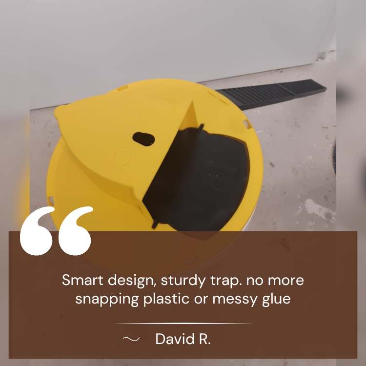 SmartCatch hands-free mouse trap with a safe design, offering quick and hygienic rodent removal for homes.
