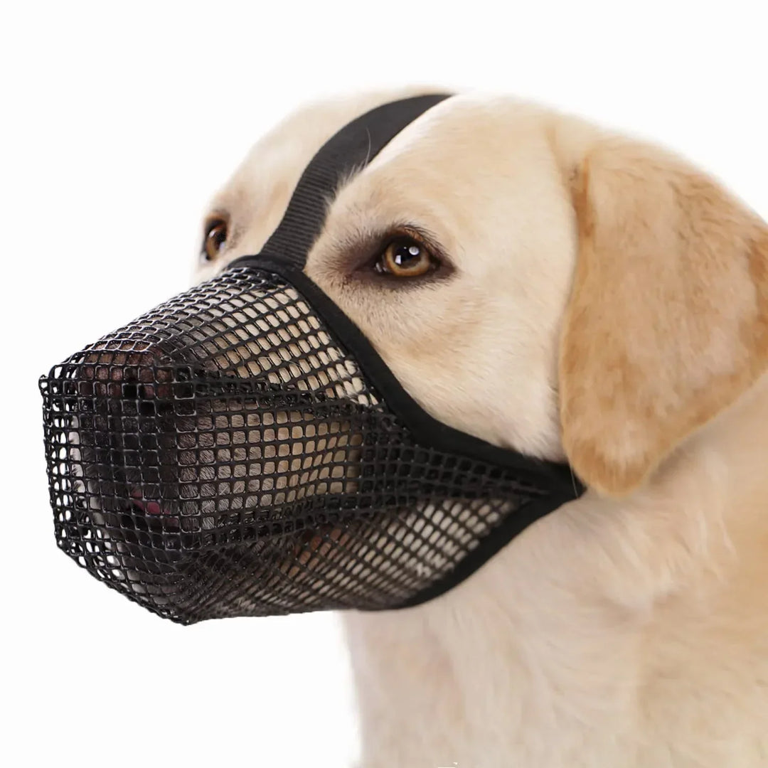 Soft, breathable AirMesh dog muzzle for comfort & safety during walks, training & travel.