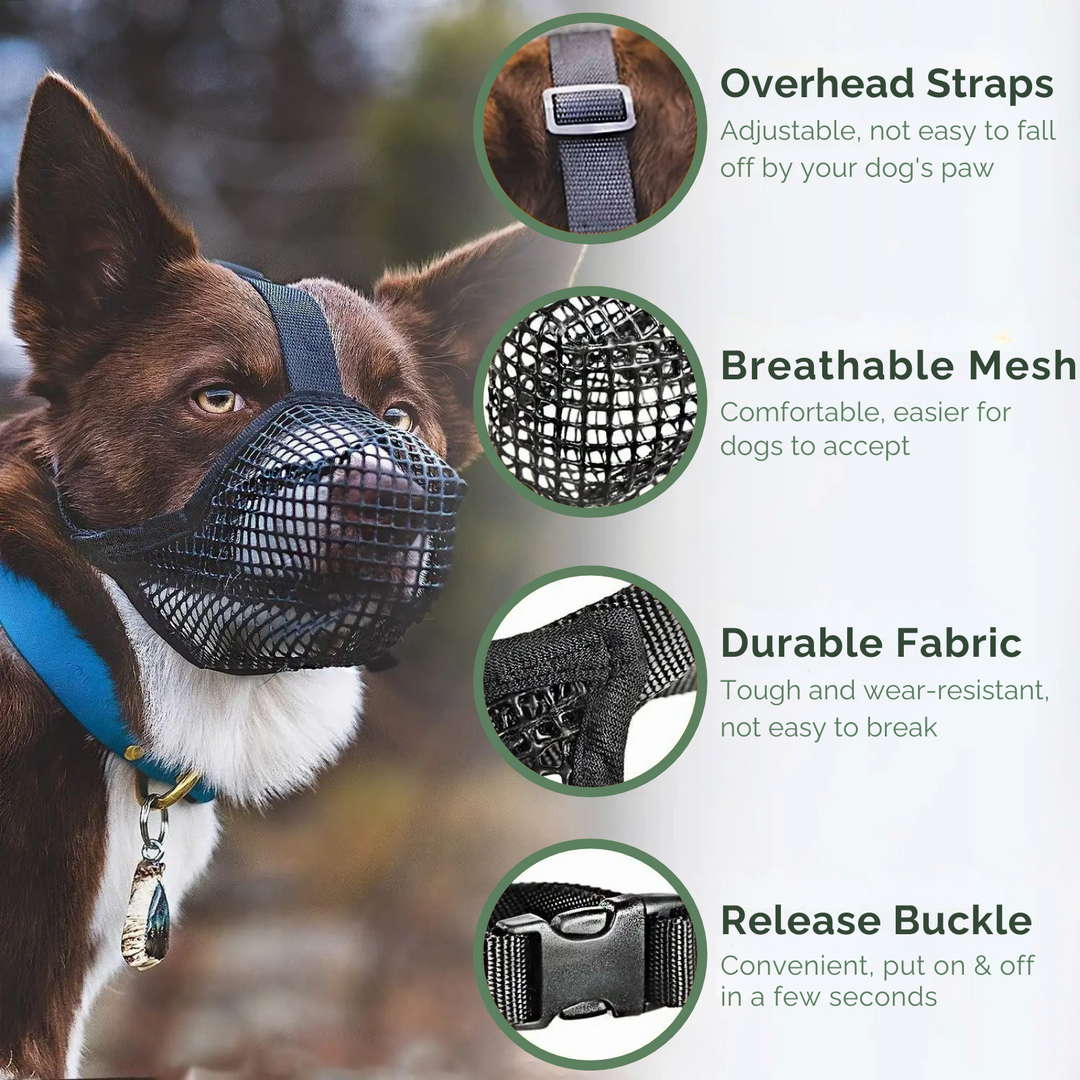 Comfortable AirMesh muzzle on a dog, allowing panting while ensuring pet safety & control.