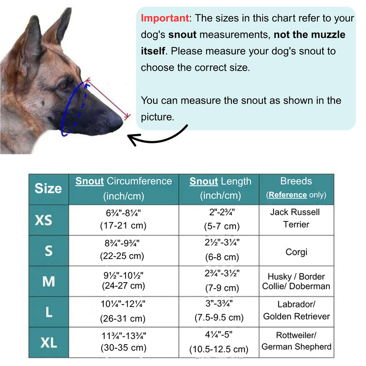 Pet wearing an AirMesh dog muzzle, showcasing a gentle, non-restrictive design for daily use.