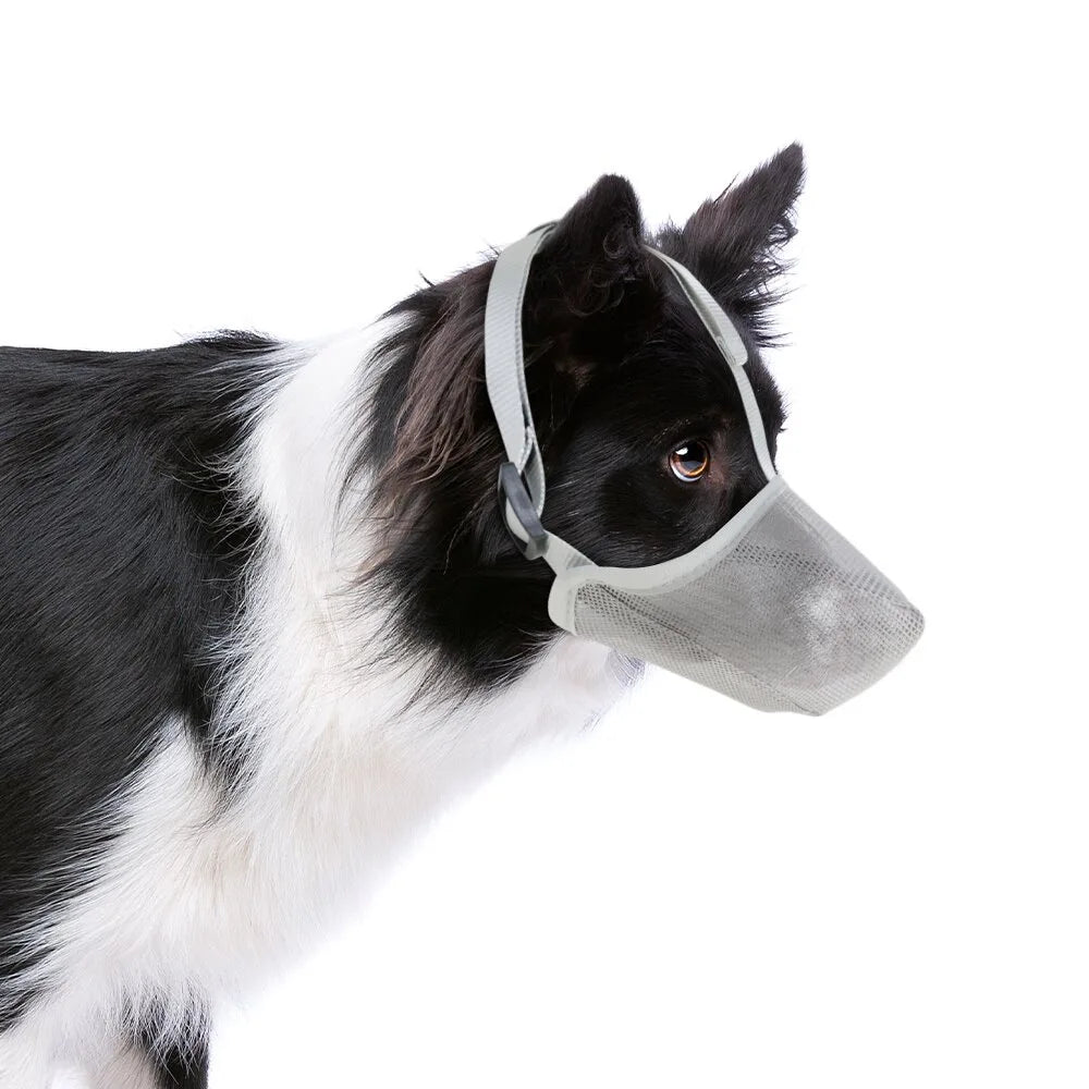AirMesh no-bite dog muzzle, ideal for training & vet visits, ensuring comfort and breathability.