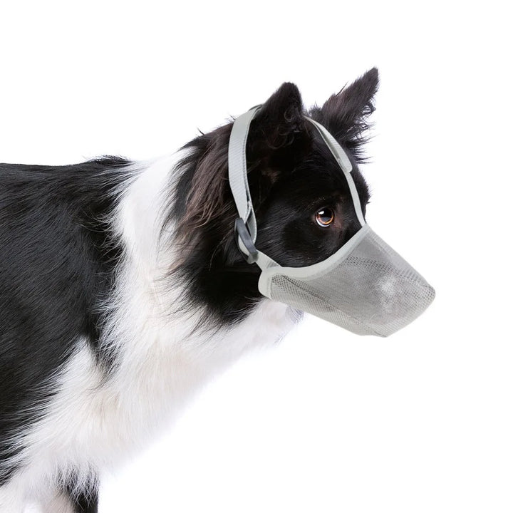 AirMesh no-bite dog muzzle, ideal for training & vet visits, ensuring comfort and breathability.