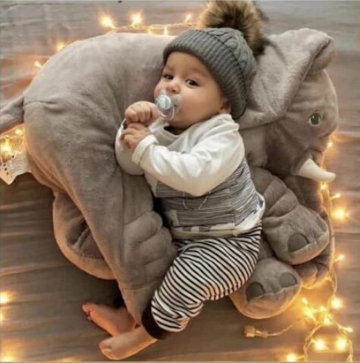 Plush elephant cuddle pillow, ideal infant comfort & snuggling.