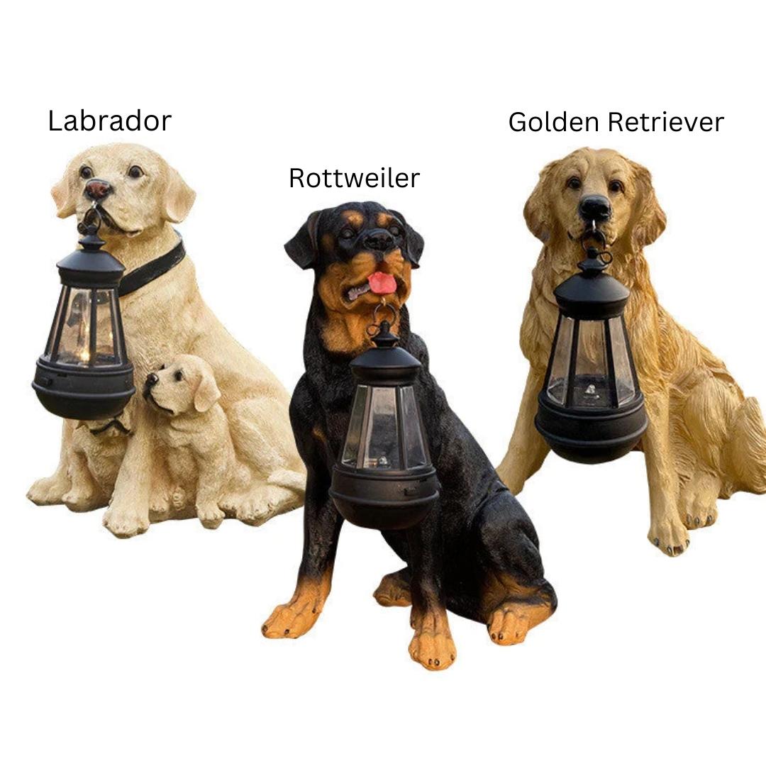 Eco-friendly solar LED dog garden statue. Outdoor lighting and decorative animal sculpture for yard.