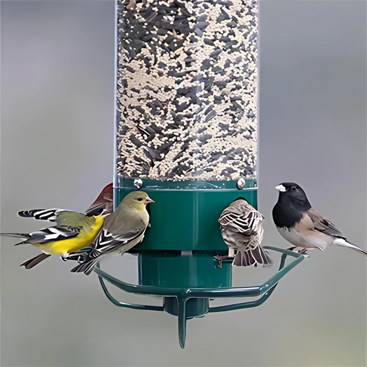 Stylish hanging squirrel-proof bird feeder, an ideal garden decor addition for your backyard bird watching.