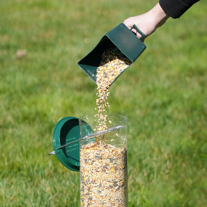 Innovative squirrel-proof bird feeder with spinning perch keeps food safe for wild birds in your outdoor space.