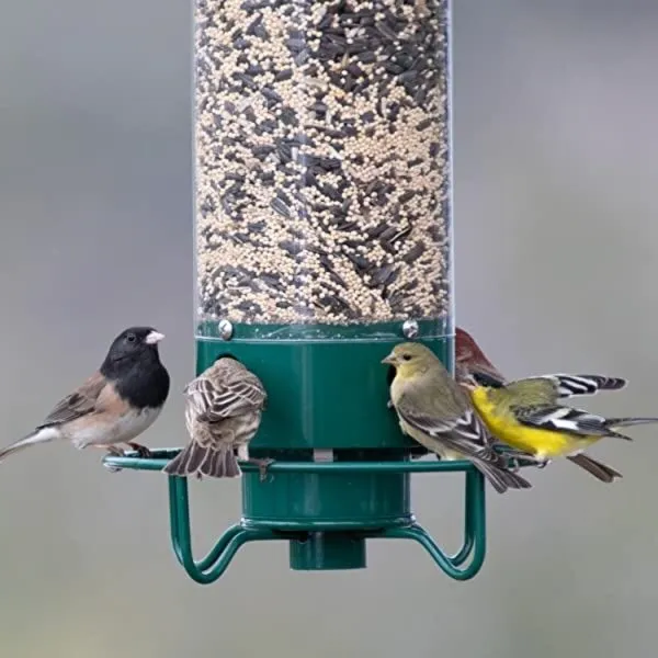 Squirrel-proof wild bird feeder, durable metal & polycarbonate design for backyard gardens. Enjoy nature & bird watching.