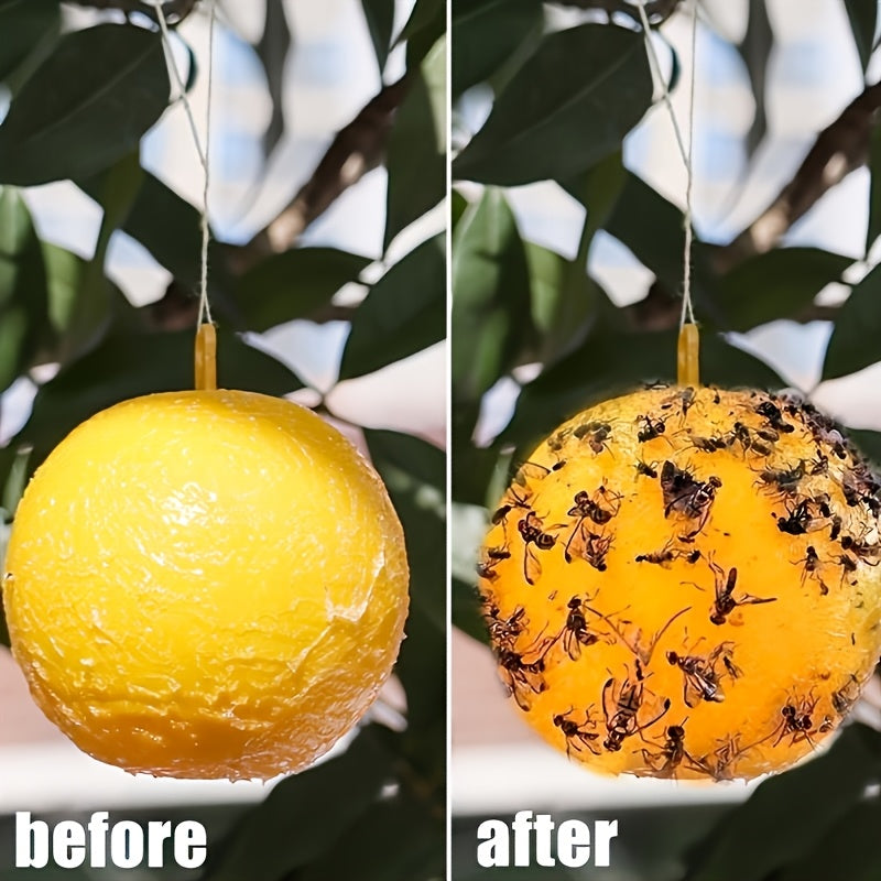 Pack of effective sticky fly traps for discreet placement, providing non-toxic pest control for kitchens & patios.