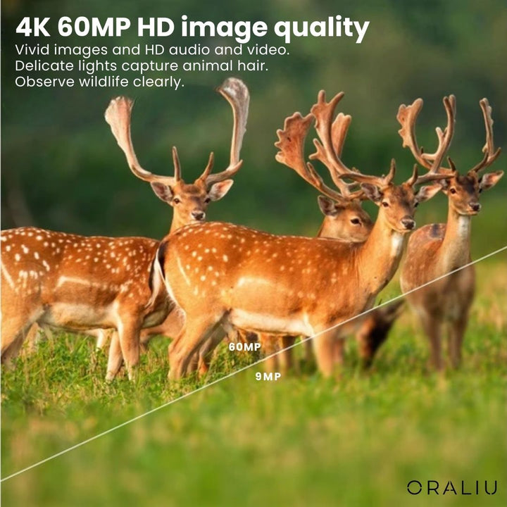 Accessories for the 4K wildlife camera: mounting strap, USB cable, and user manual for easy setup.