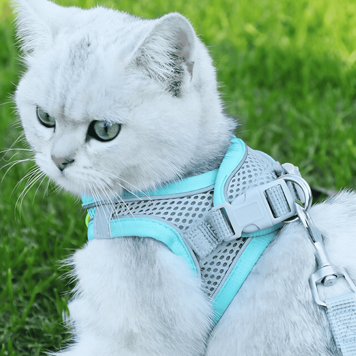 Unisex escape-proof cat harness for safe outdoor adventures & walking. Secure adjustable pet safety gear.