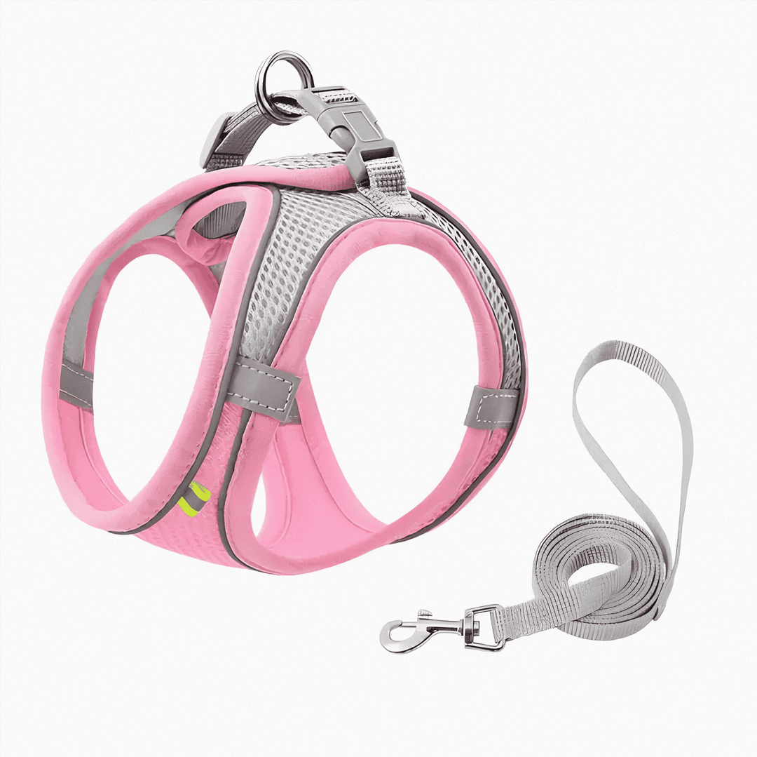 Adjustable feline gear: escape-proof cat harness, perfect for safe outdoor adventures & cat walking.