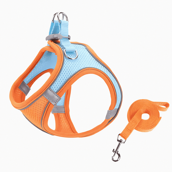 Durable & comfortable cat harness for safe outdoor adventures. Ideal pet safety accessory for walking.