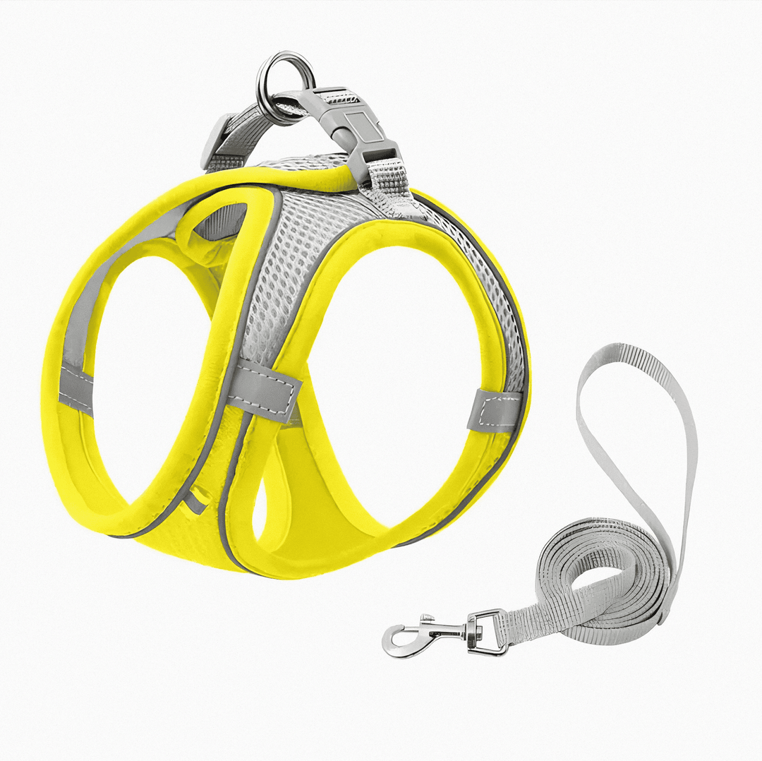 Lightweight escape-proof cat harness designed for maximum comfort and pet safety during walks.